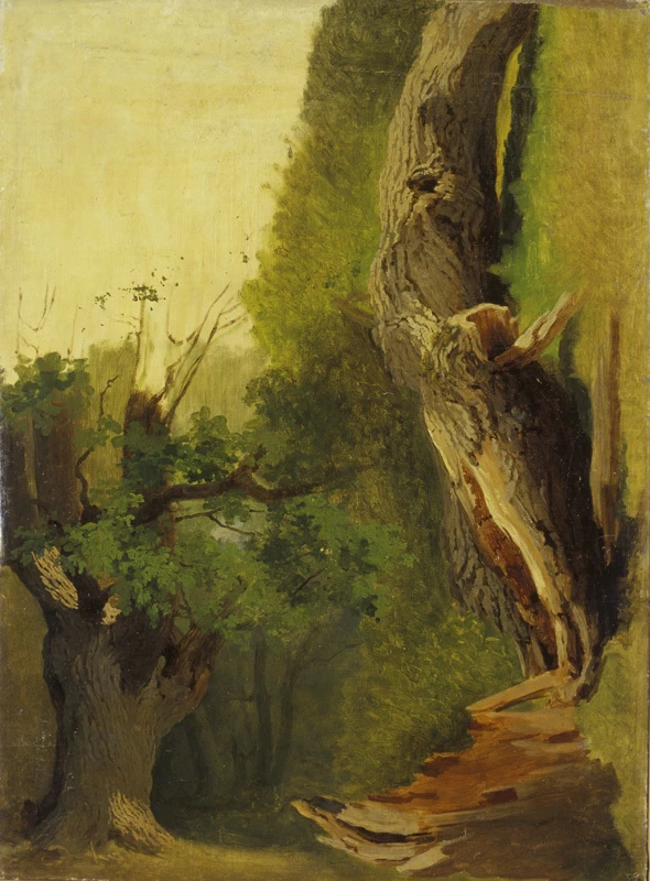 Studio di vecchi alberi - Art Museum of Estonia's painting collection